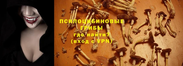 ешки Алексин