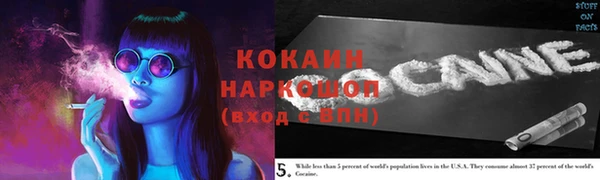 круглые Пересвет