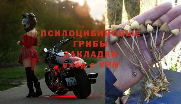 дживик Алзамай